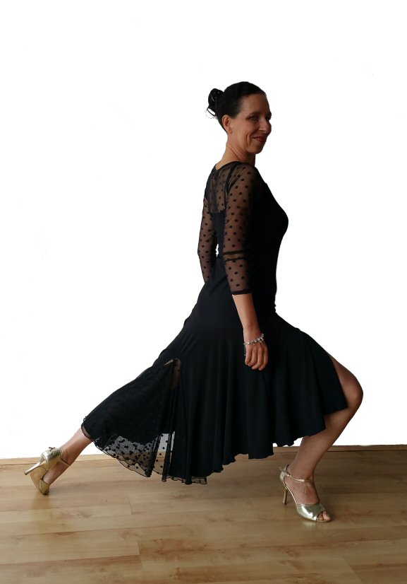Polka dots mesh tango dress